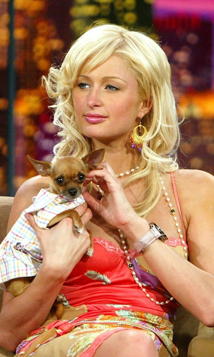 Socialite heiress Paris Hilton, with her dog Tinkerbell, appears on "The Tonight Show with Jay Leno"