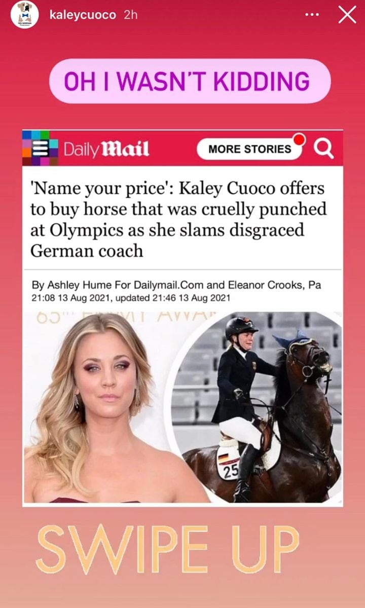 Kaley Cuoco offers to buy the horse that was punched at the Olympics