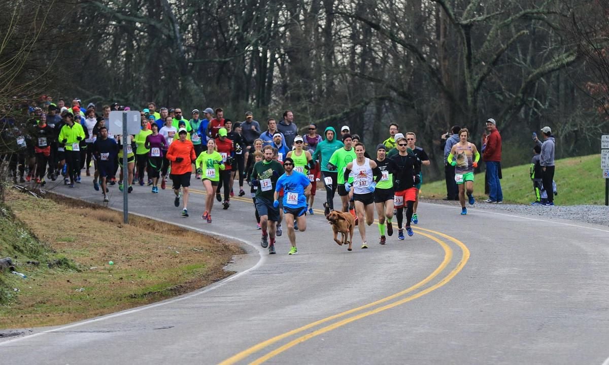 Dog Runs Marathon