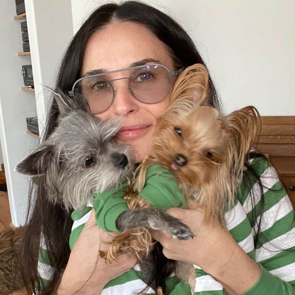 Demi Moore dogs