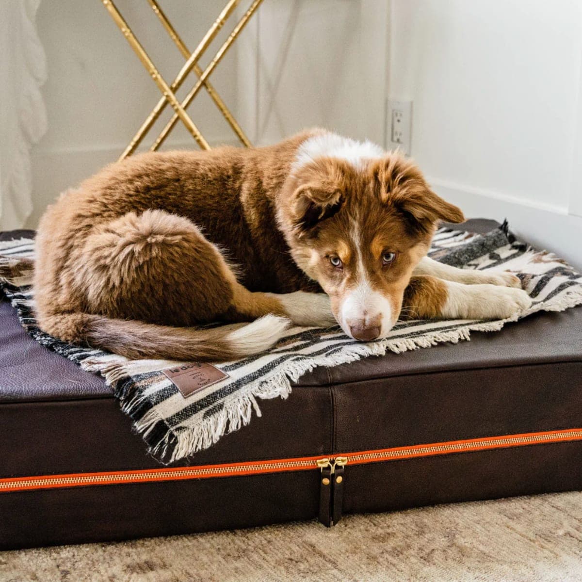 Leather Dog Bed