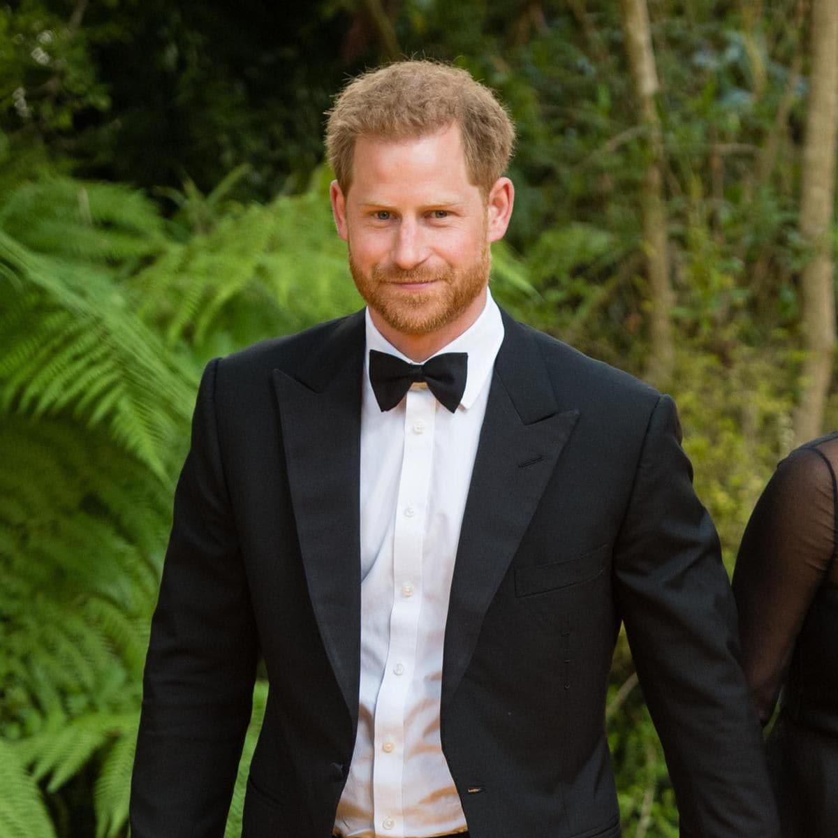 "The Lion King" European Premiere - Red Carpet Arrivals