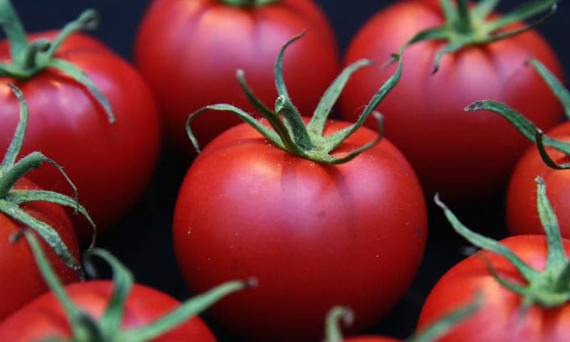 Tomates rojos