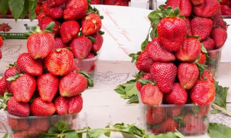 Strawberries on a tray