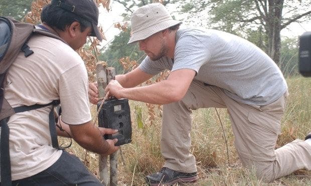 In 2010, the actor helped set up tiger camera traps in Nepal.
<br>
Photo: World Wildlife Fund