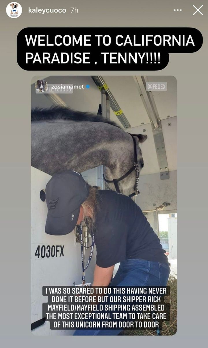 Kaley Cuoco offers to buy the horse that was punched at the Olympics