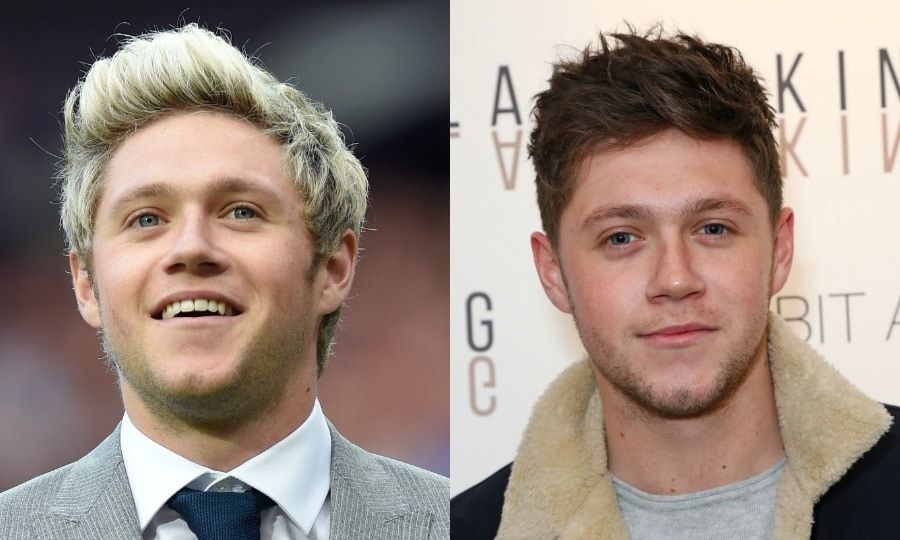 <b>Niall Horan</b> went in another <i>direction</i> coloring his hair dark brown in 2017.
Photos: WireImage/Getty Images