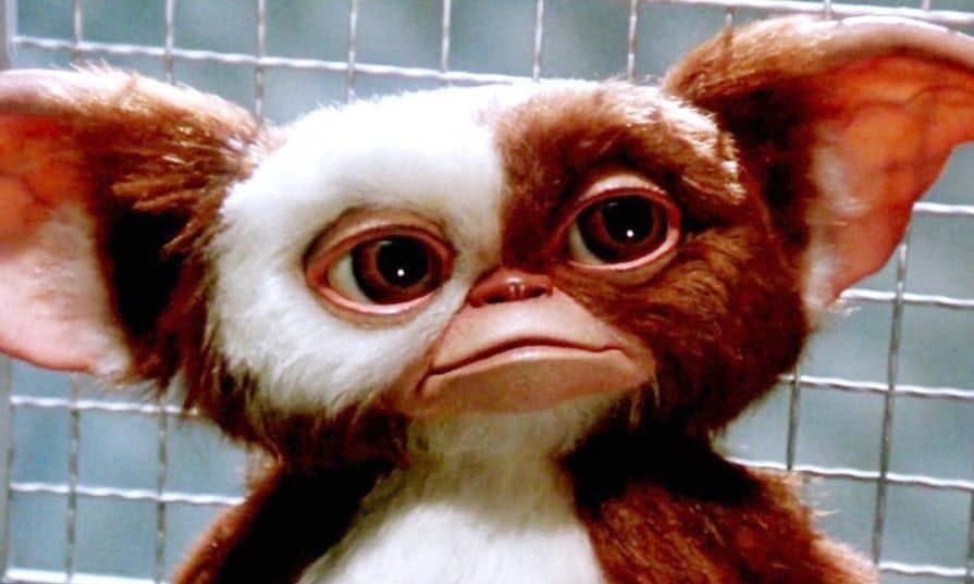 'Gremlins'