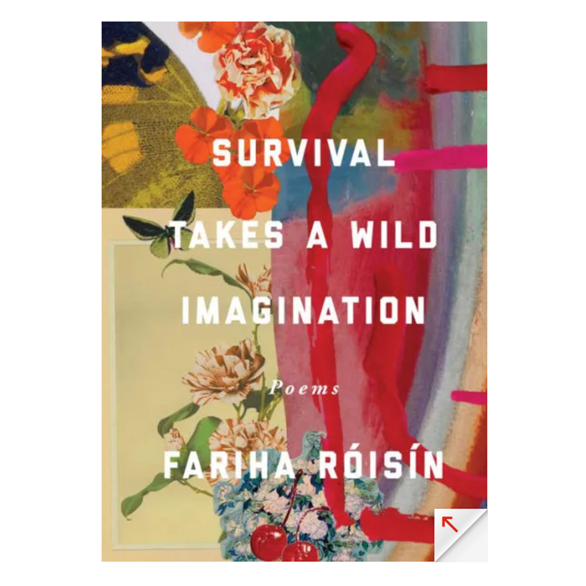 Survival Takes a Wild Imagination: Poems by Fariha Roisin