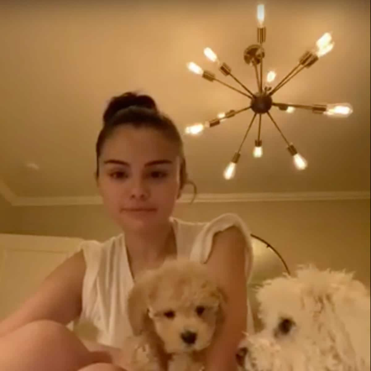 Selena Gomez pets