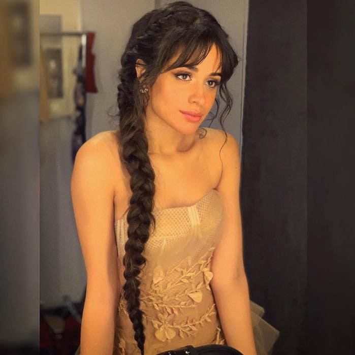 Camila Cabello AMAs braid ponytail hairstylist