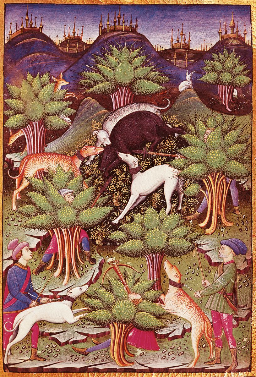 FRANCE - CIRCA 2002:  Hunting wild boar, miniature from a Treatise on Hunting, manuscript, France 15th Century. (Photo by DeAgostini/Getty Images)