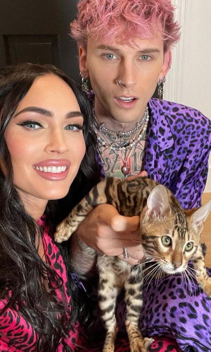 Megan Fox and MGK get a new cat