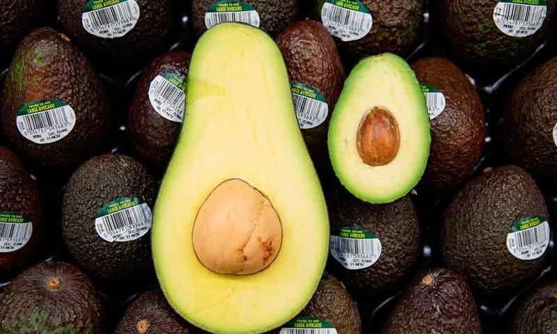 Aguacates de diferentes tamanos