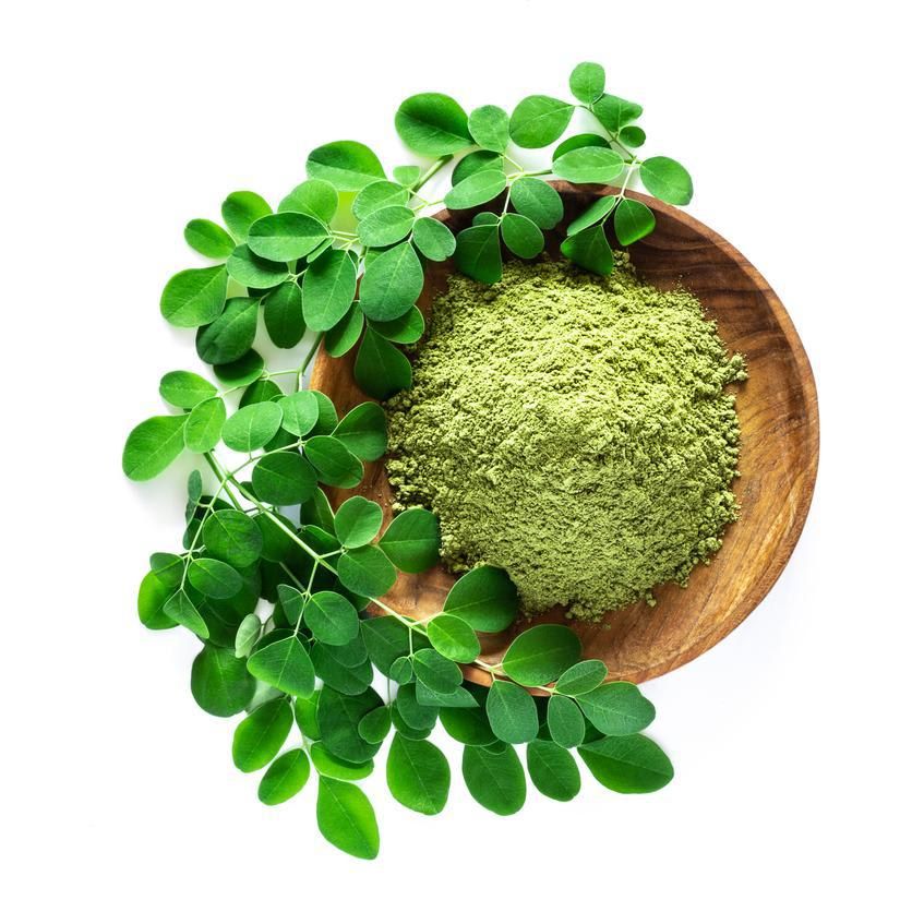 Moringa branches and powder