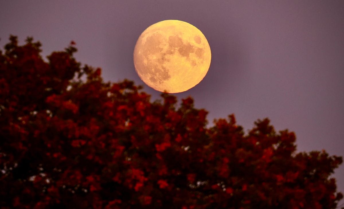 Hunter's Moon in Somerset, England. 