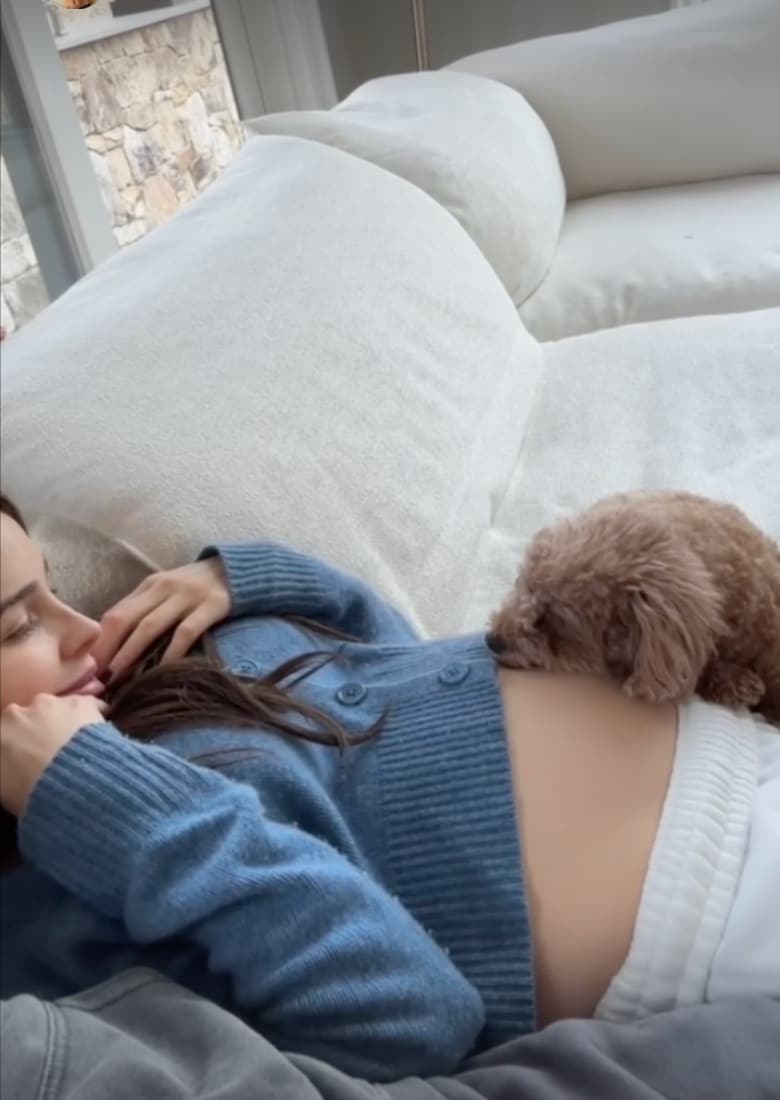 Olivia Culpo's pregnancy updates