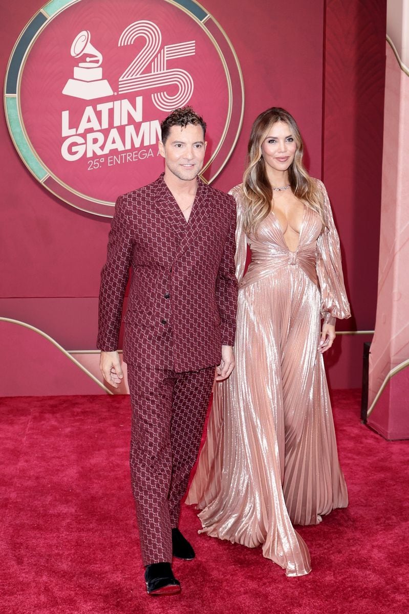 David Bisbal and Rosanna Zanetti 