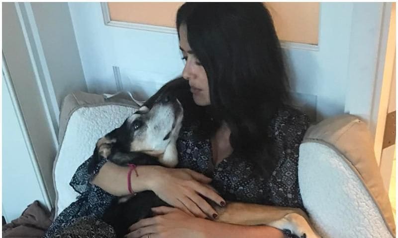 Salma Hayek shed tears for her dog Lupe