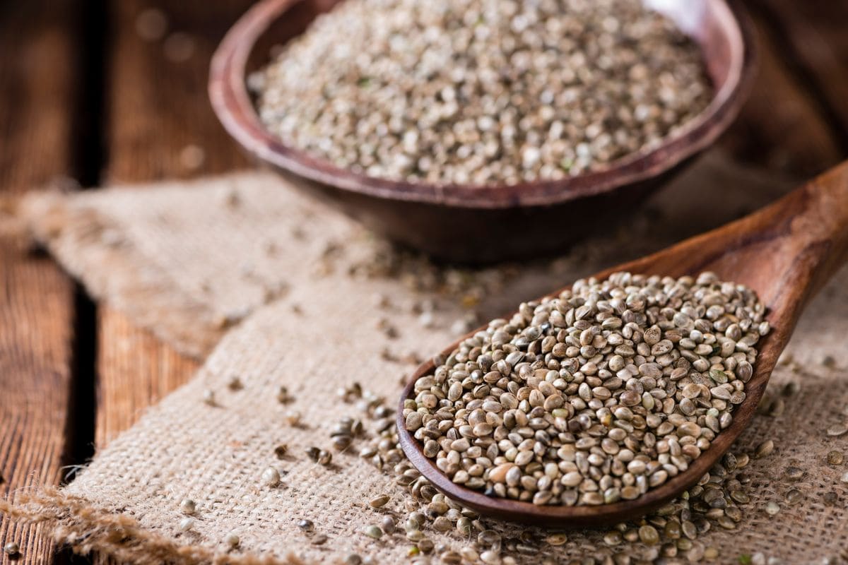 Portion of Hemp Seeds (close-up shot) on an old wooden table 