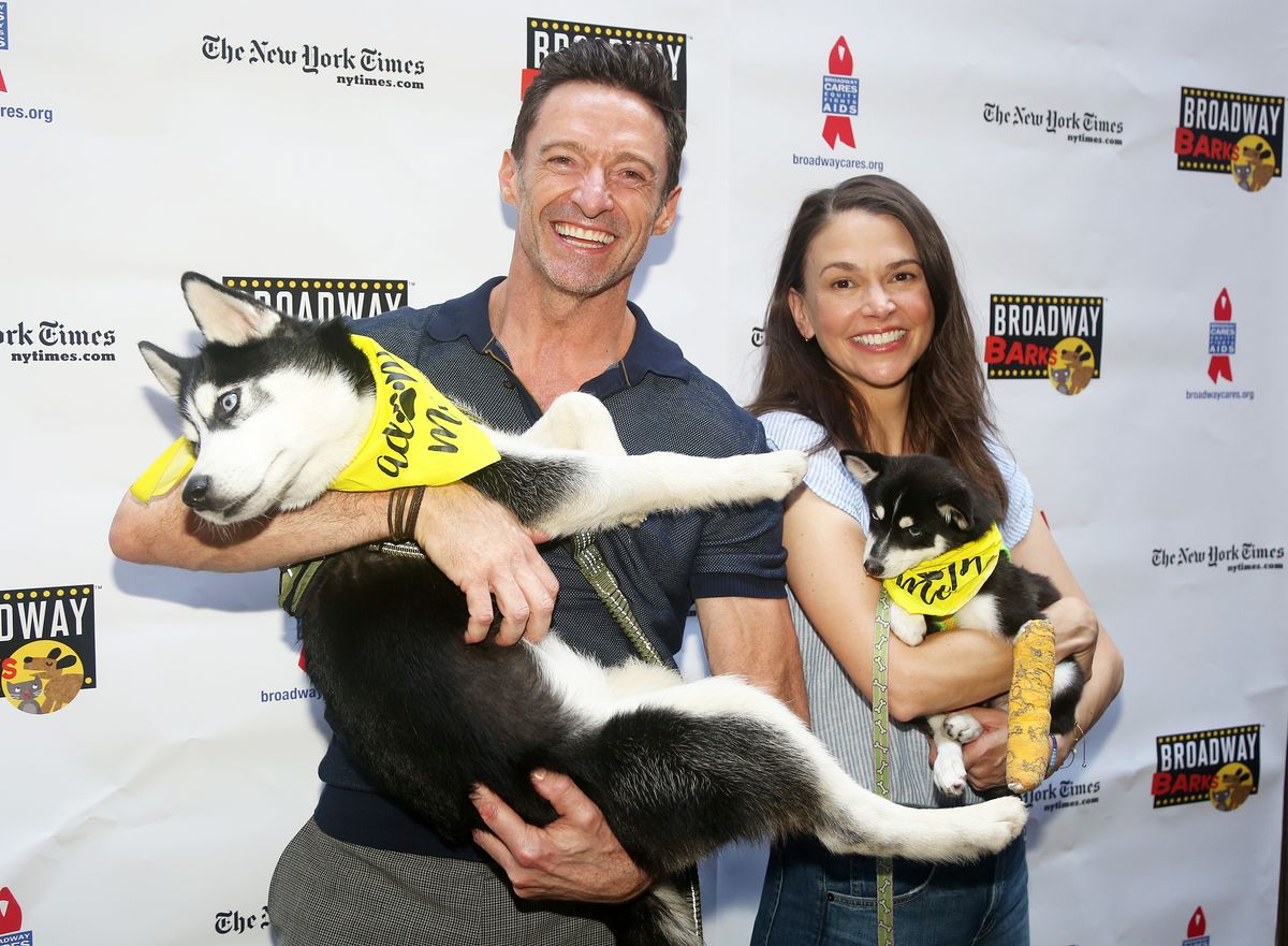 Hugh Jackman and Sutton Foster at an event for rescue dogs in New York City