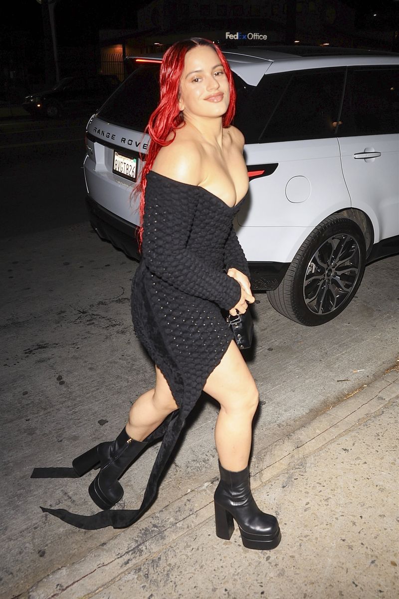 A newly red-headed Rosalia debuts her bold new look as she grabs dinner at Horses in Hollywood.