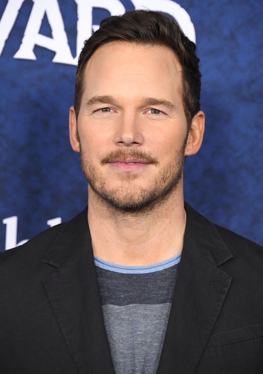 Chris Pratt shared his reaction before visiting his home in Los Angeles after the fires