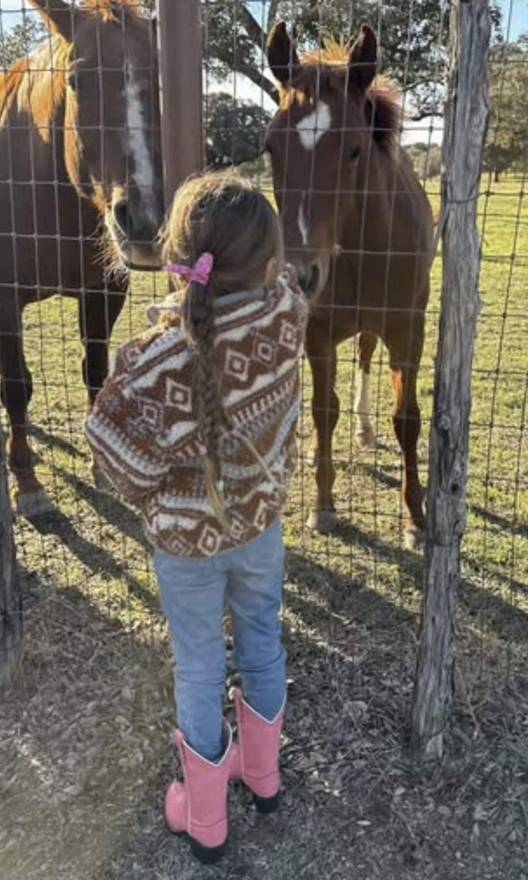 Khai feeding some of her horses