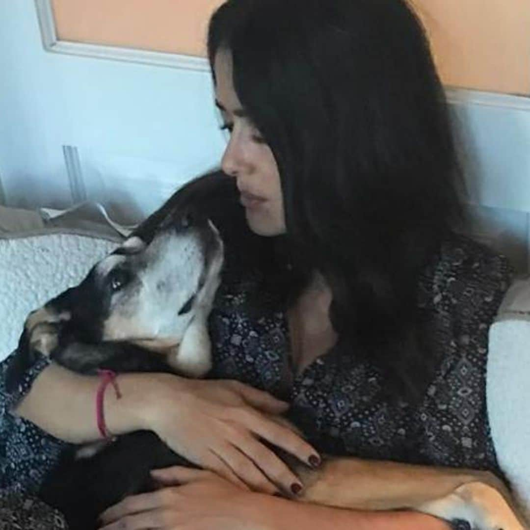 How Salma Hayek and other celebrities deal with the death of their pets