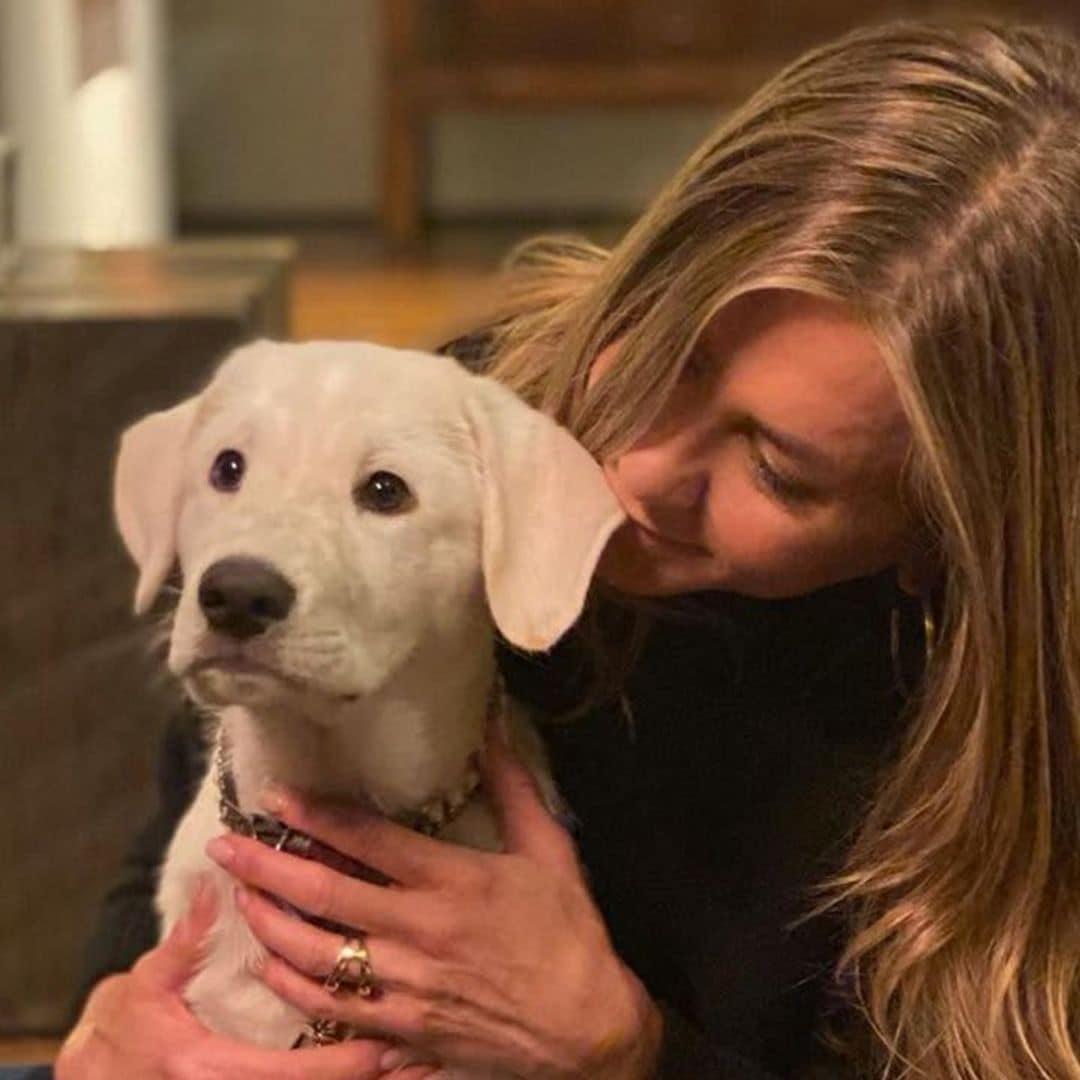 Jennifer Aniston’s dogs throw their own adorable mini Christmas ‘rager’