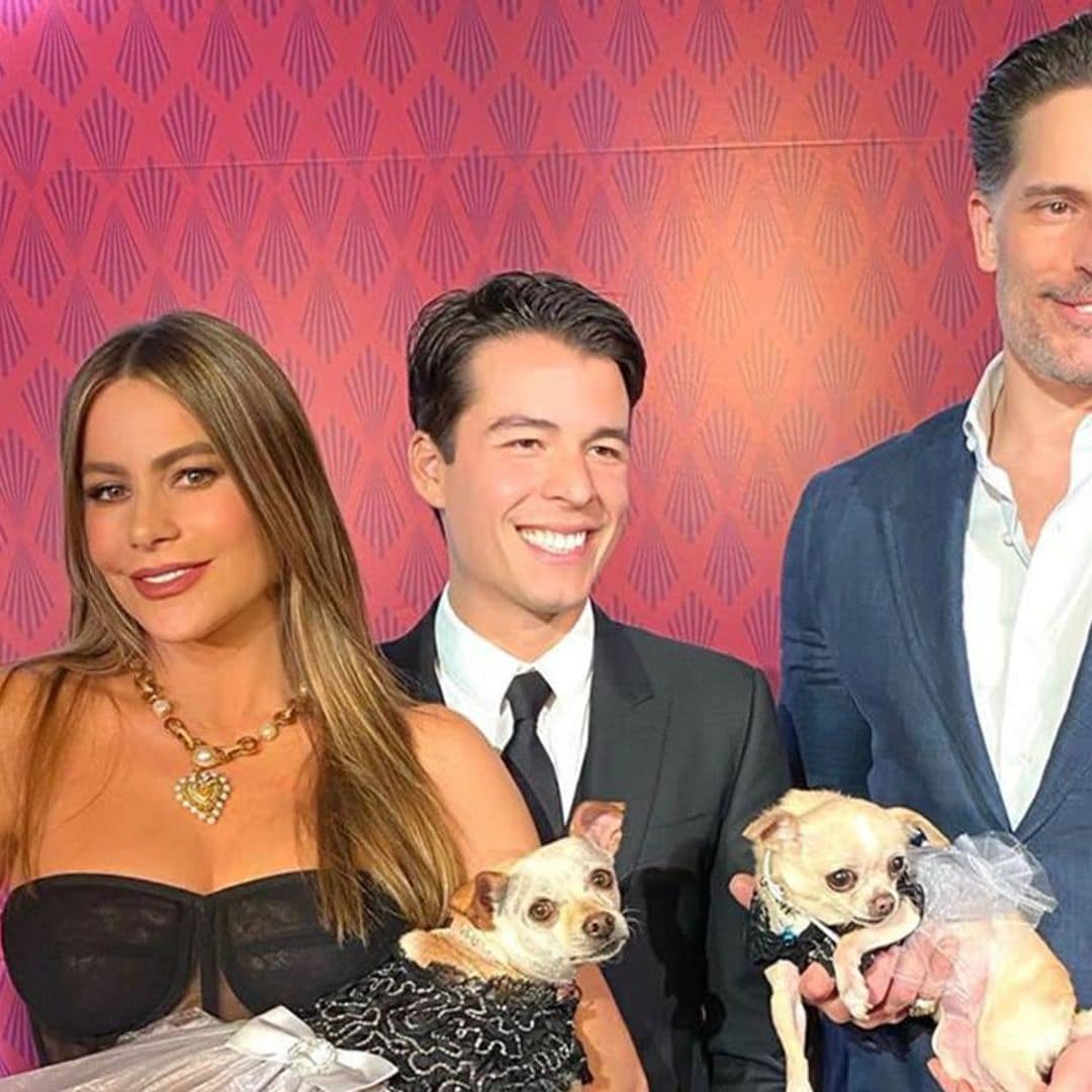 Sofia Vergara parties with dogs in Las Vegas and it’s the best time ever - See all the cute photos