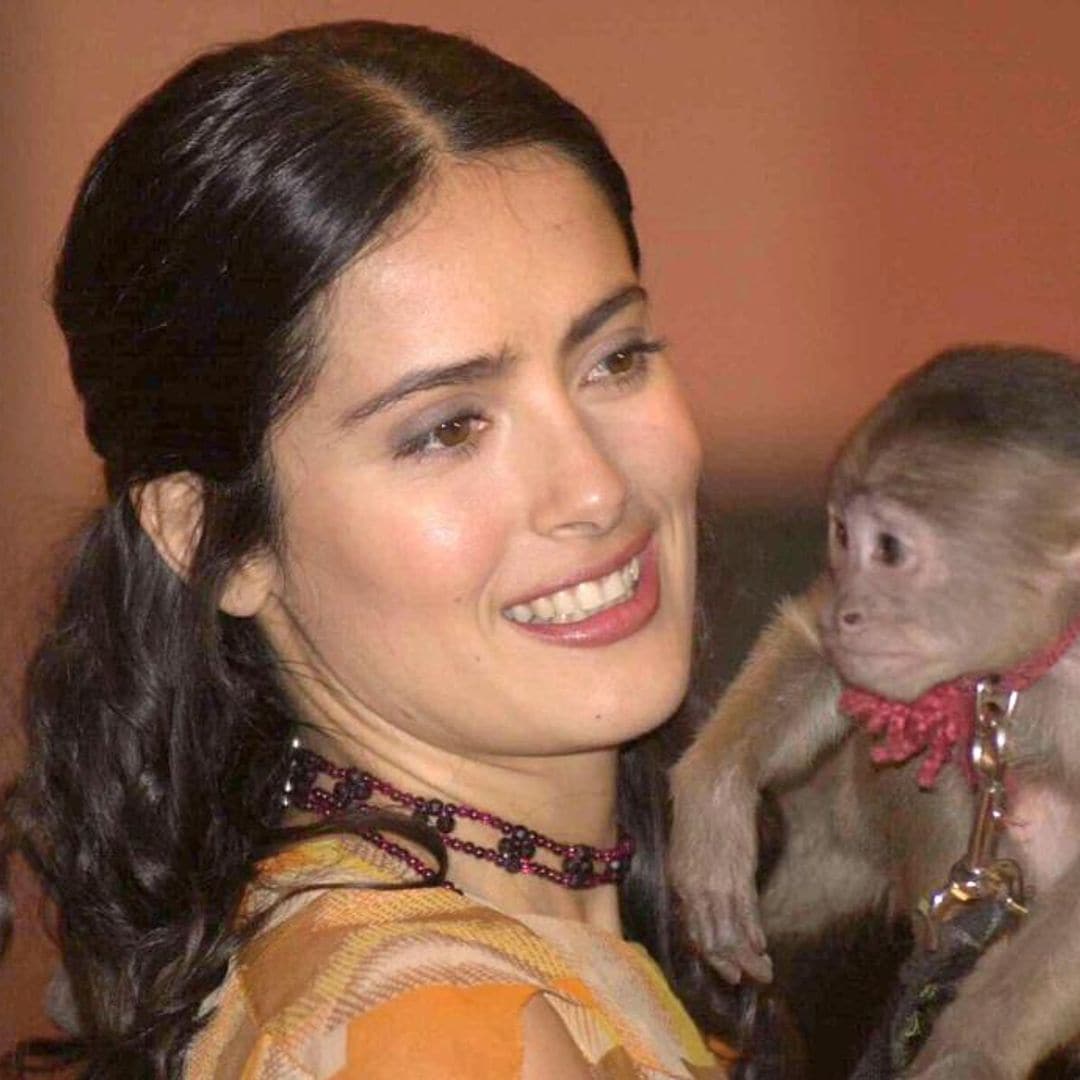 Salma Hayek ‘severely injured’ by monkey on movie set