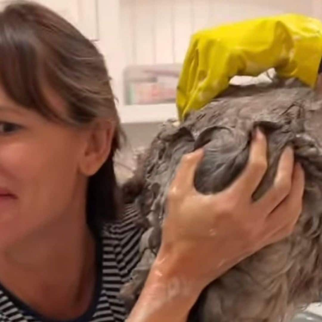 Jennifer Garner gives her cat Moose a bath and is left with battle wounds