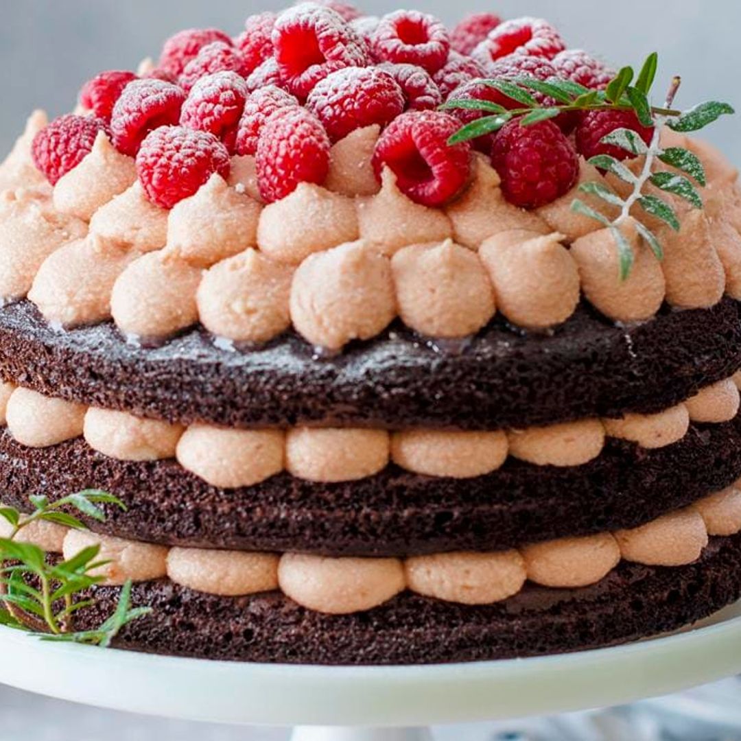 Bite into these decadent chocolate cake recipes for National Chocolate Cake Day