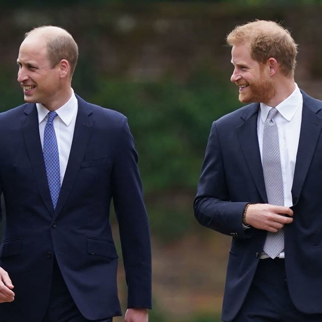 Brothers Prince William and Prince Harry reunite to honor mom Princess Diana