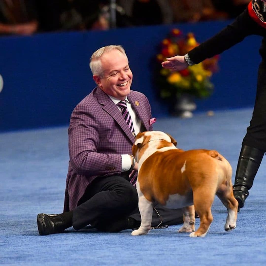 Here are all details you need to know about this year’s National Dog Show