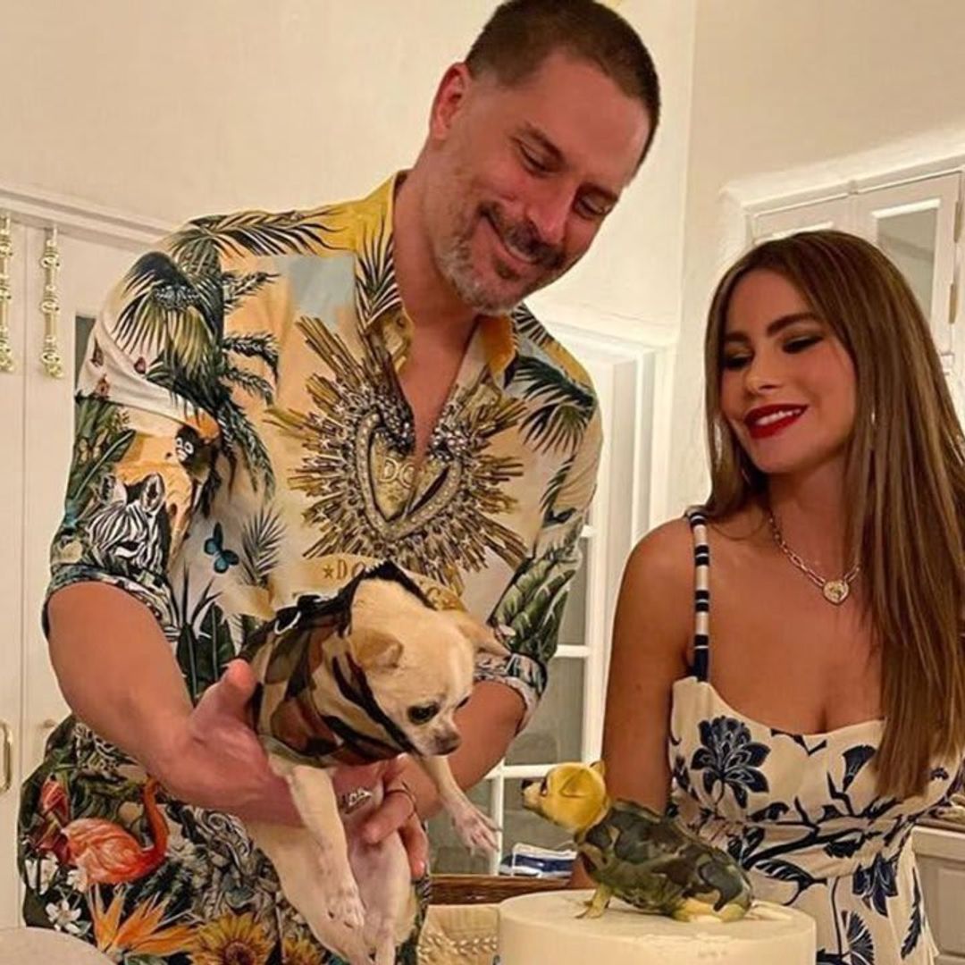 Joe Manganiello gushes over Sofia Vergara and their dog Bubbles