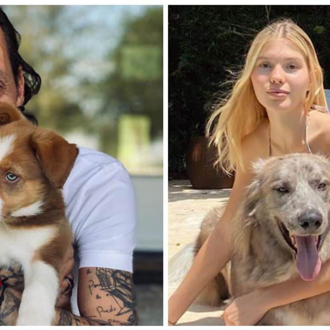 Marc Anthony’s pup Gigi, Cristina Iglesias’ ‘best friend’ and more stars self-isolating with the cutest celebrity pets