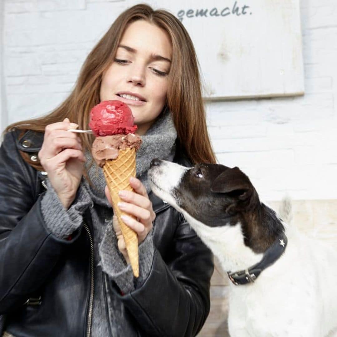 This famous ice cream brand launches doggie desserts!