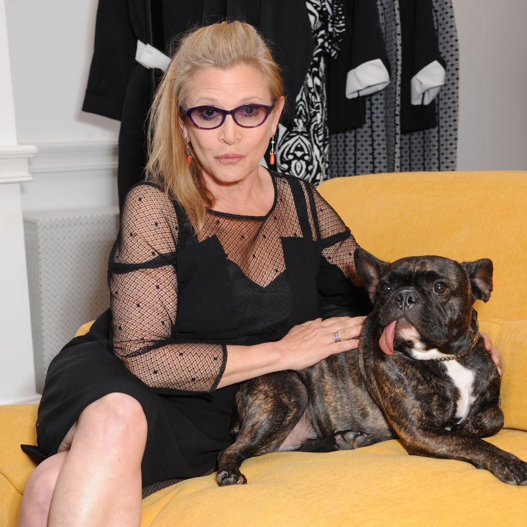 Pet of the week: Gary Fisher, Carrie Fisher's dog 'crossed the rainbow' to be with his mom