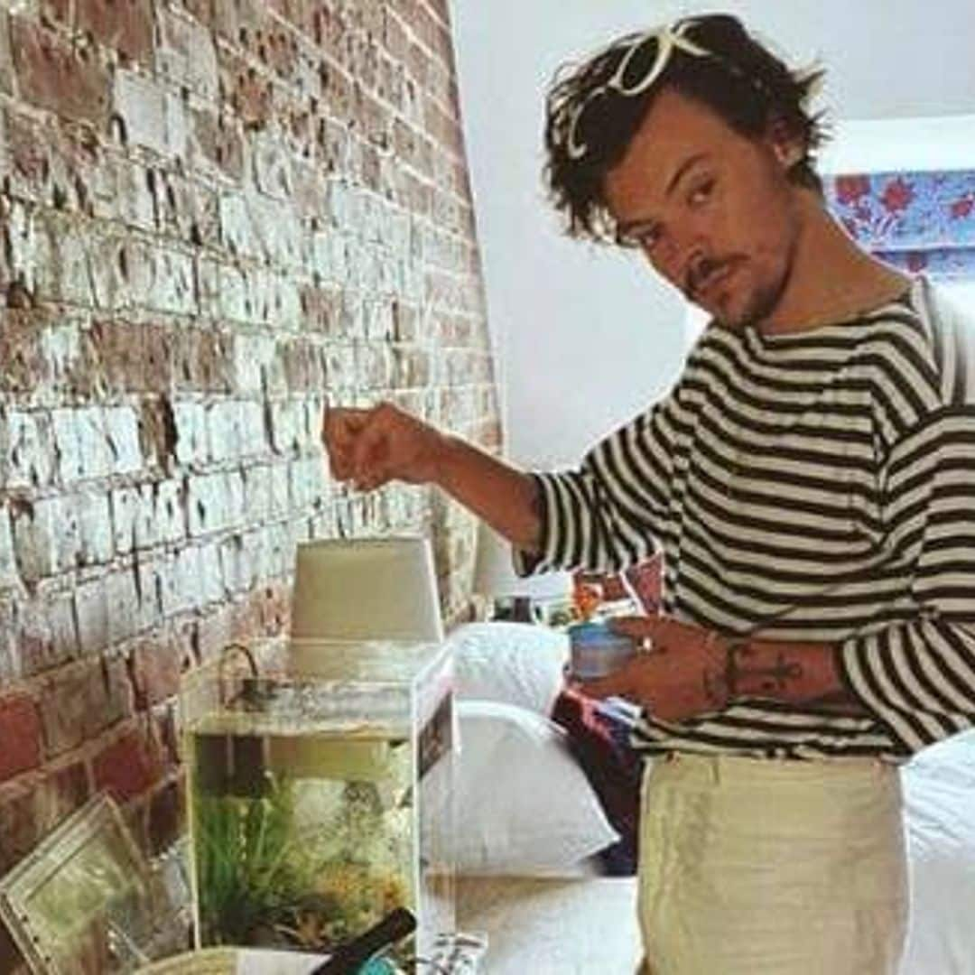 Harry Styles fed a fans fish and had tea with her dad after his car broke down