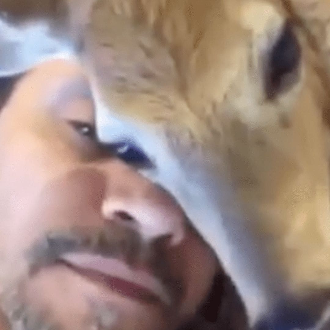 Hold the phone - Marc Anthony has a pet deer?