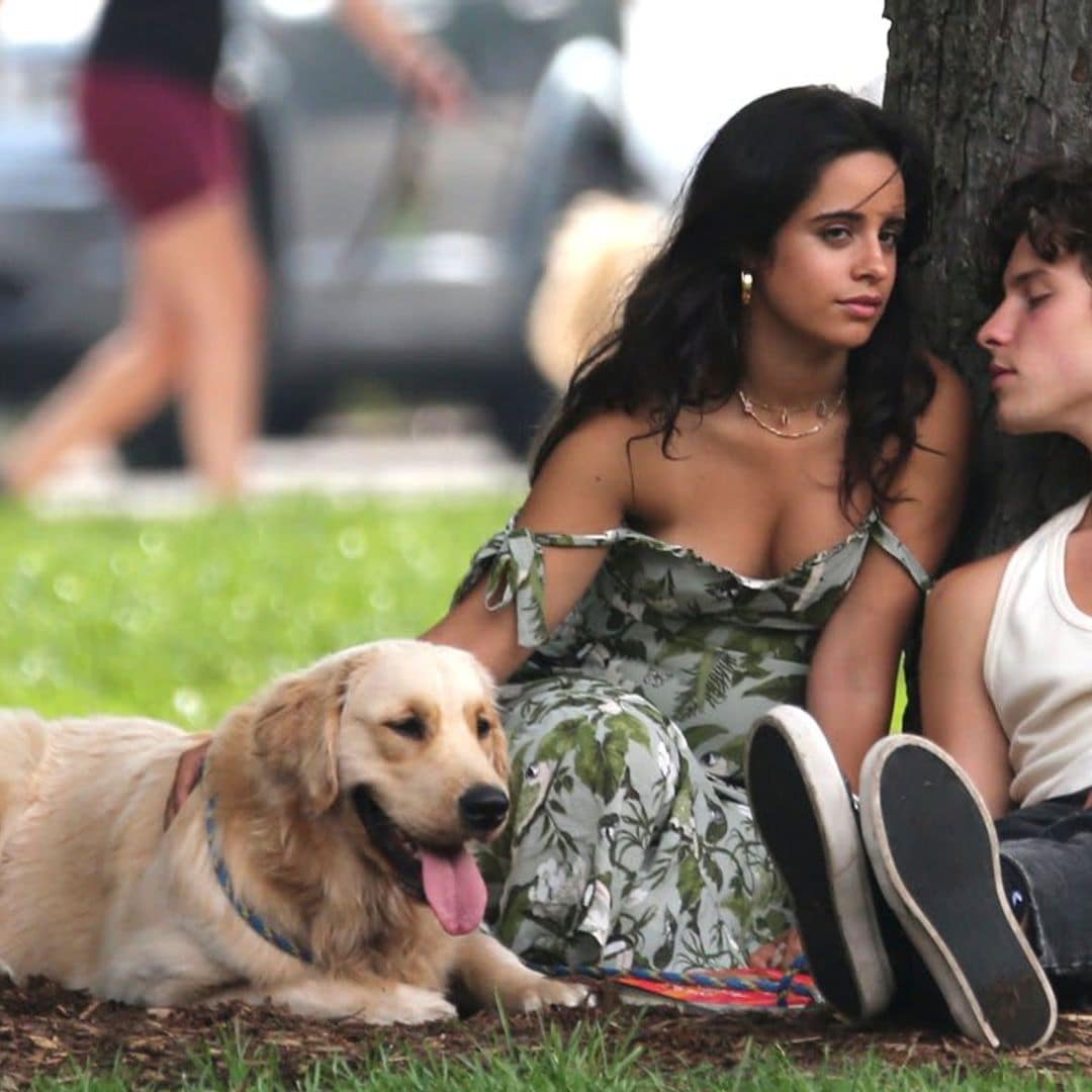 Camila Cabello and Shawn Mendes looked adorable together having a relaxing day at the park