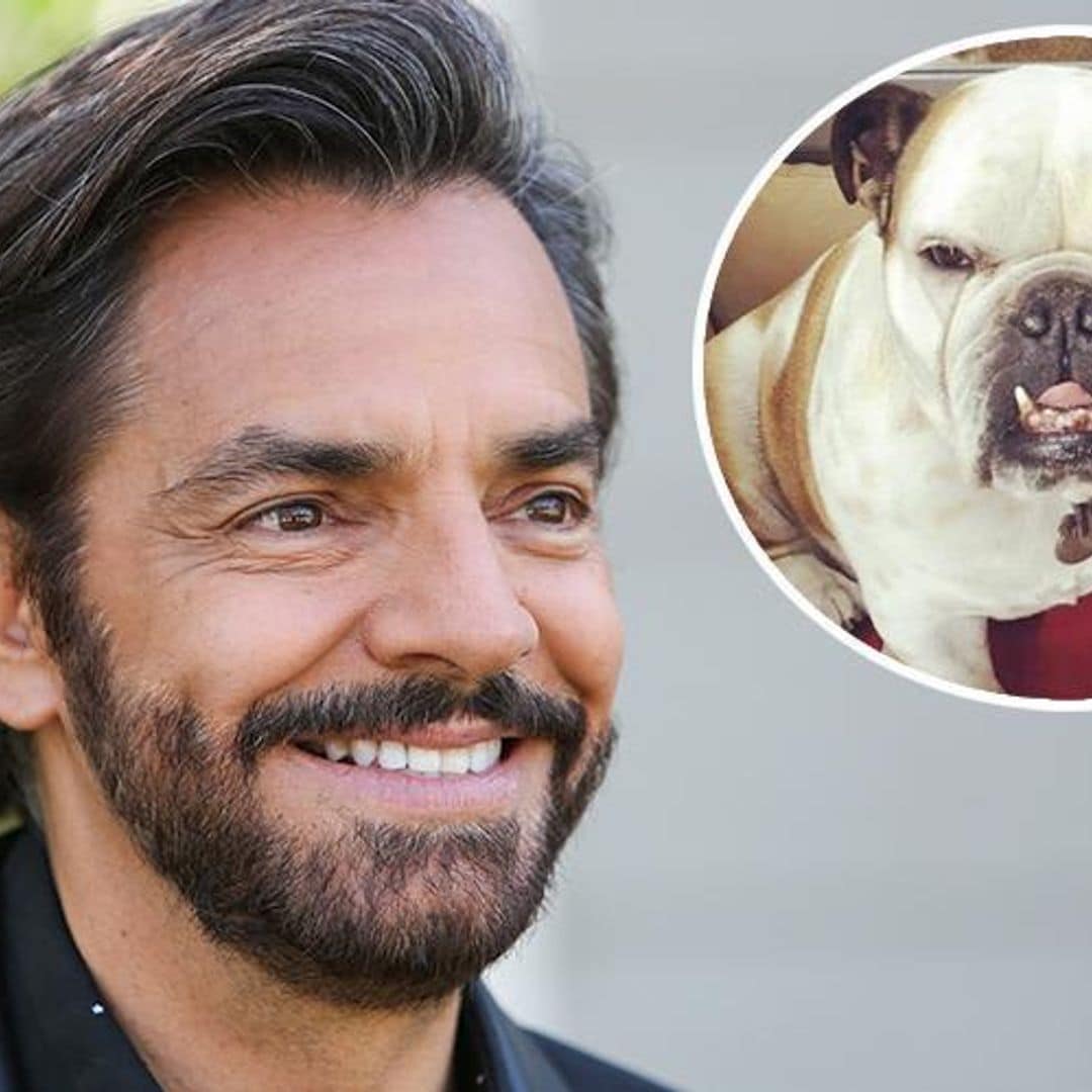 Eugenio Derbez reveals his dog Fiona got sick from missing him