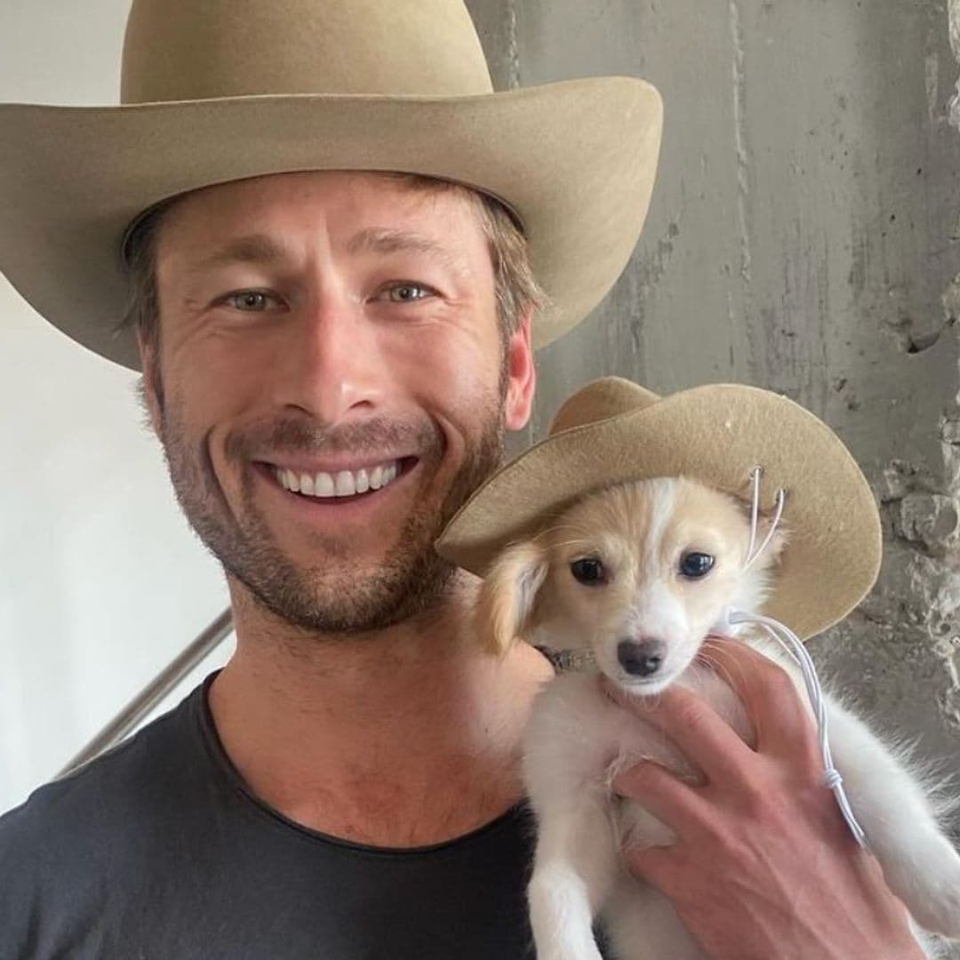 Pet of the week: Meet Brisket, the dog Glen Powell adopted after his breakup