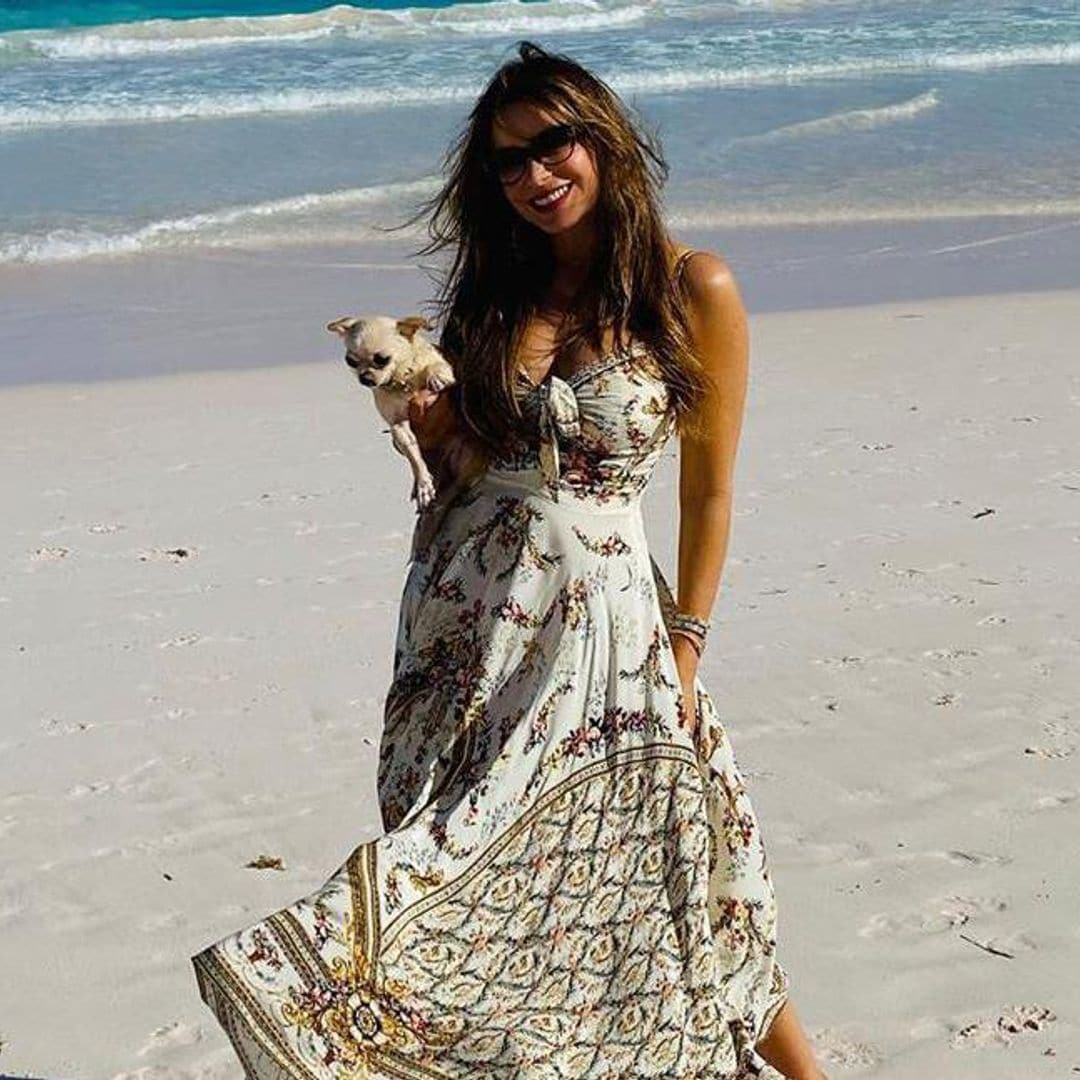 Sofia Vergara's picture perfect accessory while on vacation