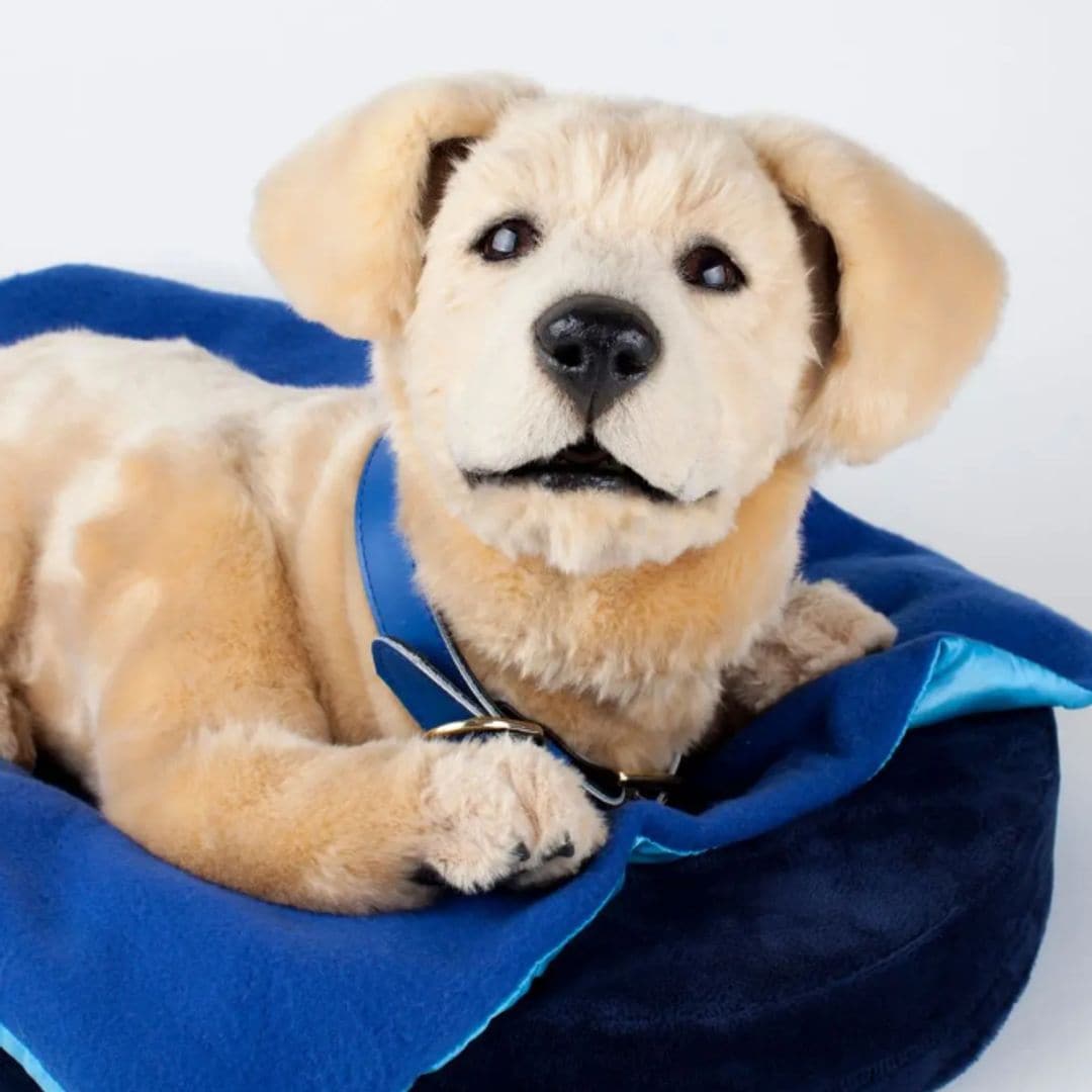 Meet Jennie, a robot dog meant to comfort dementia patients [WATCH]