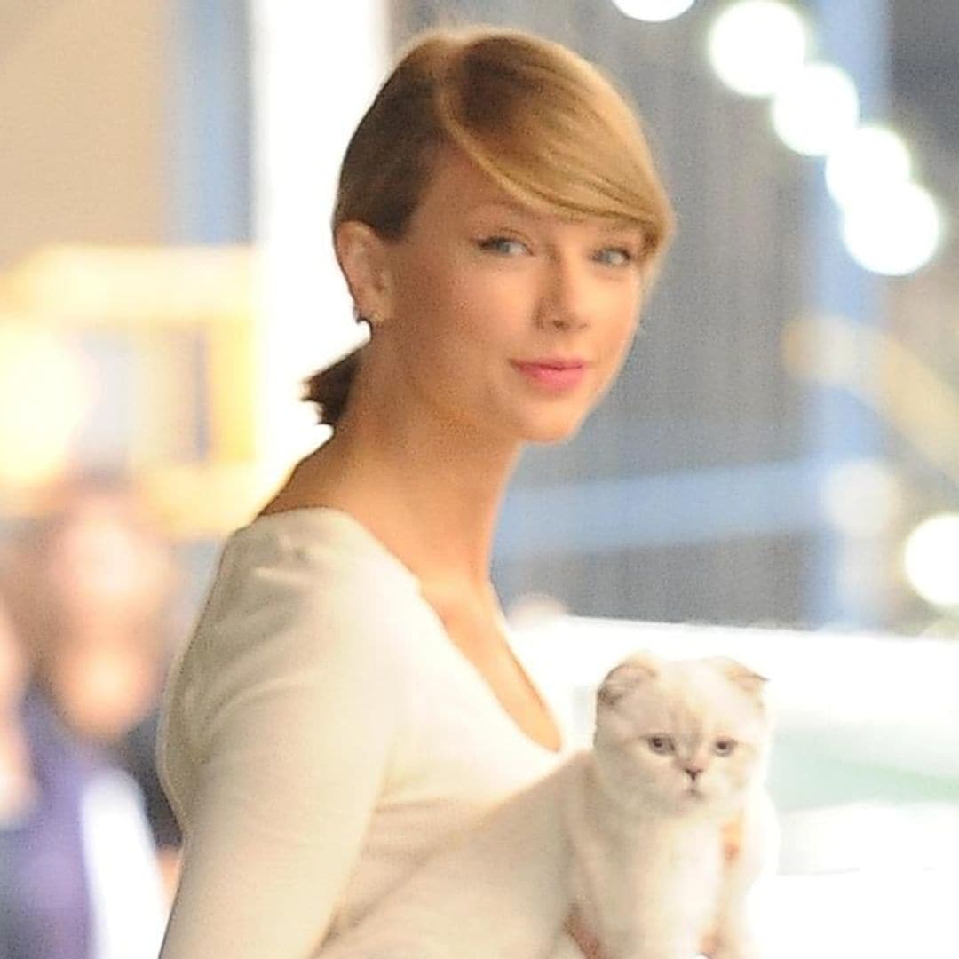 Taylor Swift’s cat is reportedly one of the richest pets in the world