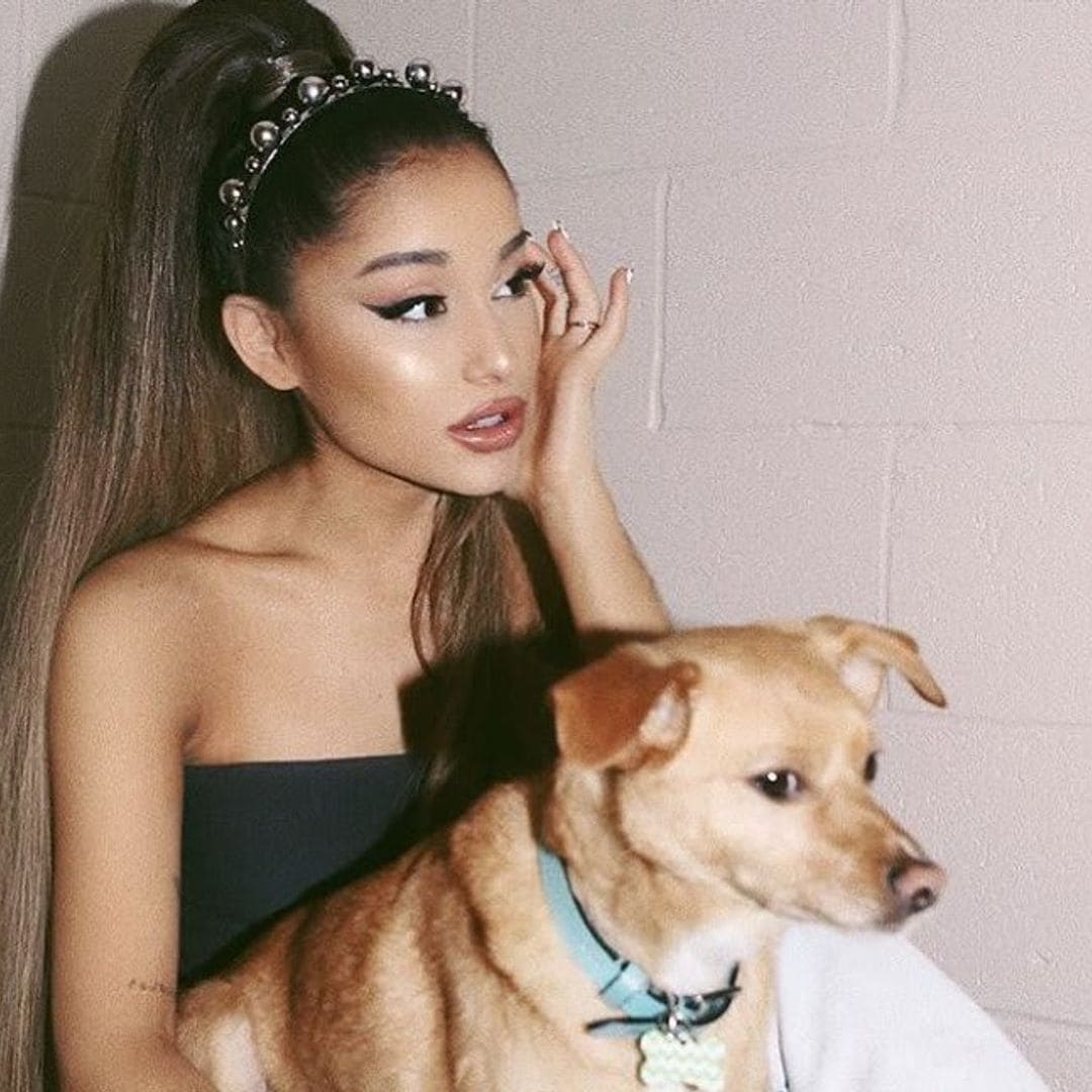 Ariana Grande rescues animals from heartbreaking conditions: how to adopt from her!