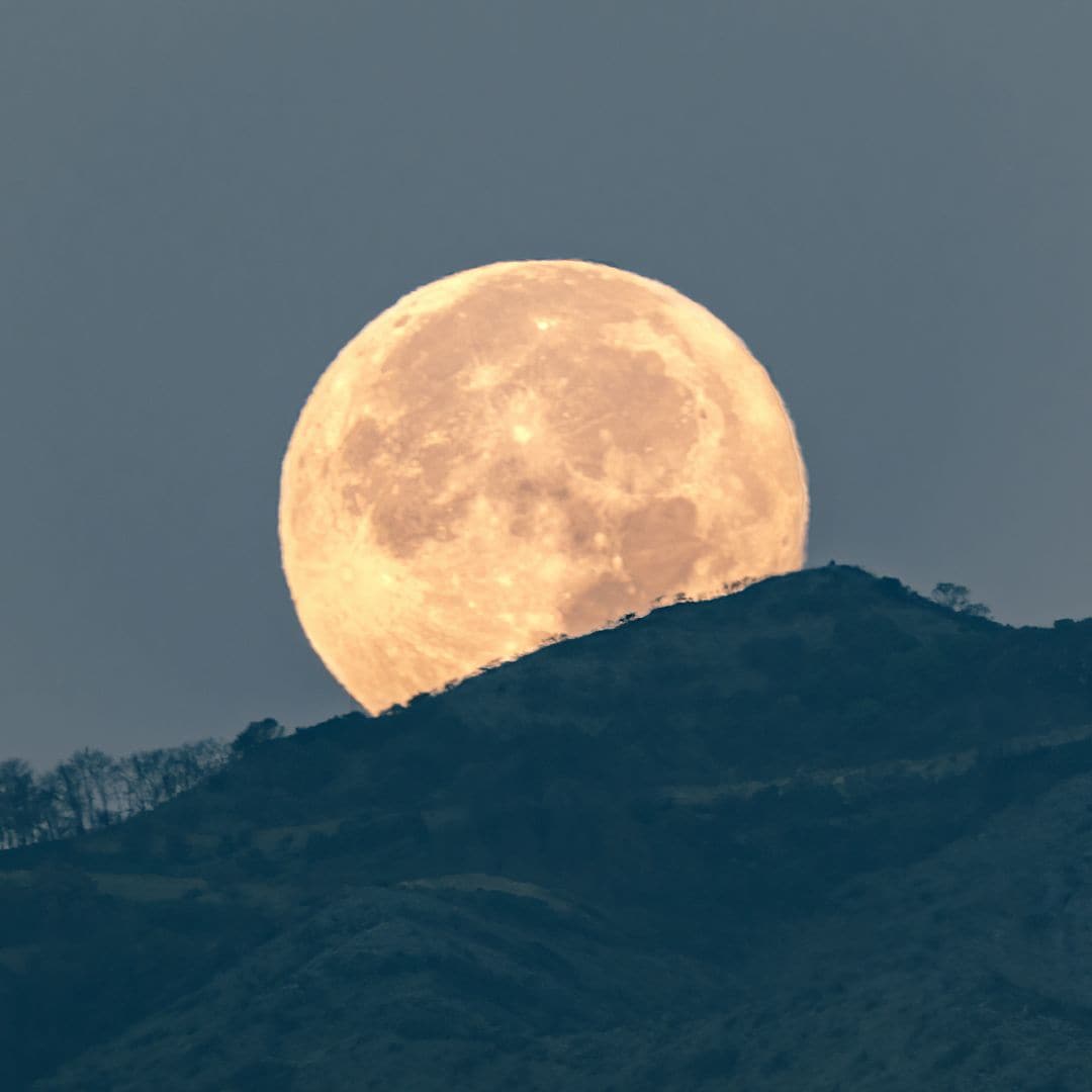 Full Moons in 2025: See the dates, starting with the Wolf Moon